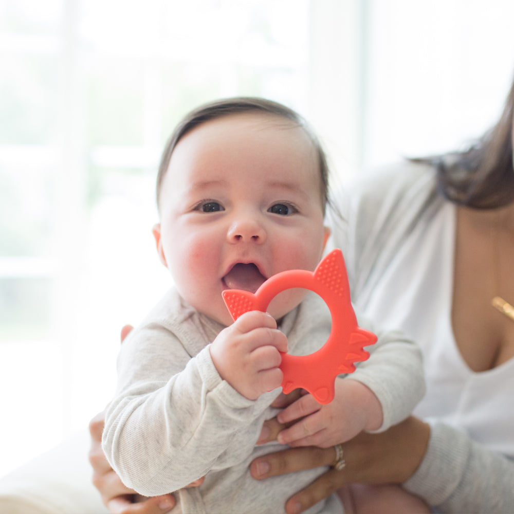 Dr Brown's Flexees Friends Fox Teether