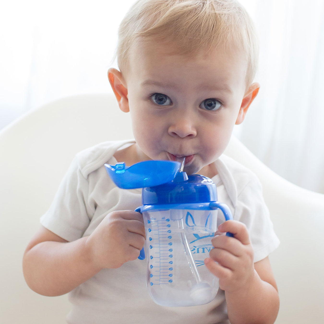 Cups & Solid Feeding